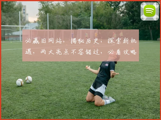 必赢旧网站，揭秘历史，探索新机遇，两大亮点不容错过，必看攻略