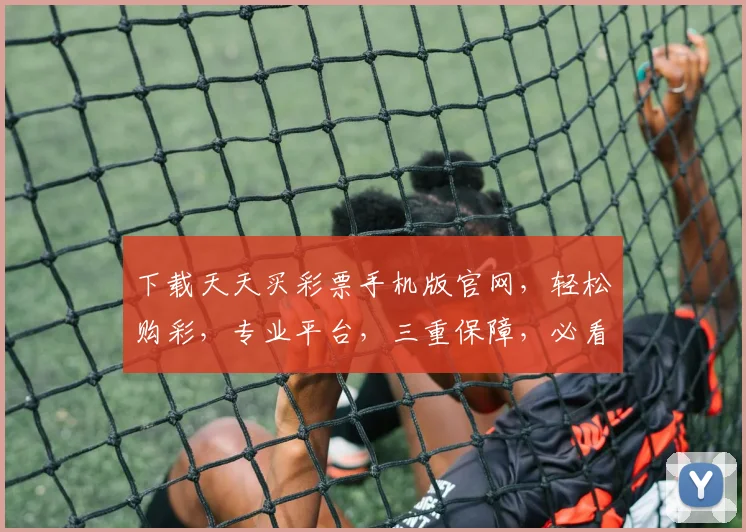 下载天天买彩票手机版官网，轻松购彩，专业平台，三重保障，必看攻略，一网打尽